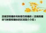 游离型核糖体和附着性核糖体（游离核糖体与附着核糖体的区别简介介绍）