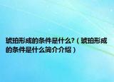 琥珀形成的条件是什么?（琥珀形成的条件是什么简介介绍）