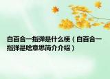 白百合一指弹是什么梗（白百合一指弹是啥意思简介介绍）
