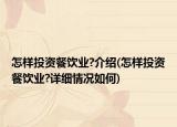 怎样投资餐饮业?介绍(怎样投资餐饮业?详细情况如何)