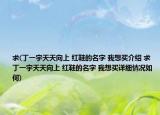 求(丁一宇天天向上 红鞋的名字 我想买介绍 求 丁一宇天天向上 红鞋的名字 我想买详细情况如何)