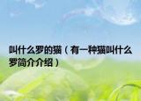 叫什么罗的猫（有一种猫叫什么罗简介介绍）