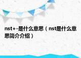 nst+-是什么意思（nst是什么意思简介介绍）