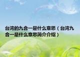 台湾的九合一是什么意思（台湾九合一是什么意思简介介绍）
