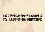 小孩子为什么崇拜奥特曼介绍(小孩子为什么崇拜奥特曼详细情况如何)