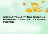 鸡尾普洱大肚子茶减大肚子好不好(是不是真的有效介绍 鸡尾普洱大肚子茶减大肚子好不好 是不是真的有效详细情况如何)