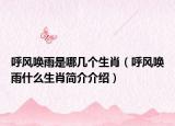 呼风唤雨是哪几个生肖（呼风唤雨什么生肖简介介绍）