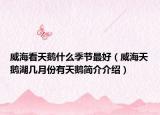威海看天鹅什么季节最好（威海天鹅湖几月份有天鹅简介介绍）