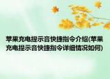 苹果充电提示音快捷指令介绍(苹果充电提示音快捷指令详细情况如何)
