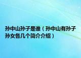 孙中山孙子是谁（孙中山有孙子孙女各几个简介介绍）