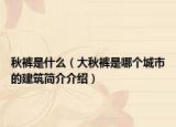 秋裤是什么（大秋裤是哪个城市的建筑简介介绍）
