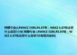 网赚专业(LRWMZ 兑换LR6.87收；WMZ 6.87收这是什么意思?介绍 网赚专业 LRWMZ 兑换LR6.87收；WMZ 6.87收这是什么意思?详细情况如何)