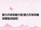 智力方块攻略介绍(智力方块攻略详细情况如何)
