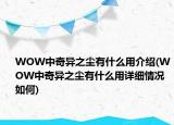 WOW中奇异之尘有什么用介绍(WOW中奇异之尘有什么用详细情况如何)