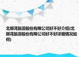 北部湾旅游股份有限公司好不好介绍(北部湾旅游股份有限公司好不好详细情况如何)