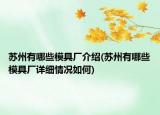 苏州有哪些模具厂介绍(苏州有哪些模具厂详细情况如何)