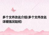 多个文件改名介绍(多个文件改名详细情况如何)