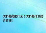 大料是指的什么（大料是什么简介介绍）