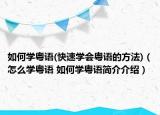 如何学粤语(快速学会粤语的方法)（怎么学粤语 如何学粤语简介介绍）