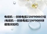 电视机---创维电视21NF9000介绍(电视机---创维电视21NF9000详细情况如何)