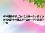 棒棒糖的棒子上为什么会有一个小孔（小时候吃的棒棒糖上为什么有一个小孔简介介绍）