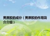 黄原胶的成分（黄原胶的作用简介介绍）