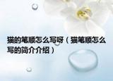 猫的笔顺怎么写呀（猫笔顺怎么写的简介介绍）