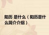 阳历 是什么（阳历是什么简介介绍）