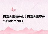 国家大事有什么（国家大事要什么心简介介绍）