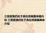 三亚疫情仍处于高位进展期详细内容 三亚疫情仍处于高位进展期具体介绍