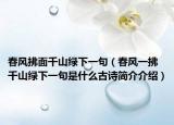 春风拂面千山绿下一句（春风一拂千山绿下一句是什么古诗简介介绍）