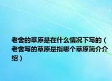 老舍的草原是在什么情况下写的（老舍写的草原是指哪个草原简介介绍）