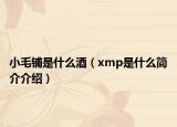 小毛铺是什么酒（xmp是什么简介介绍）