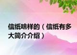 信纸啥样的（信纸有多大简介介绍）
