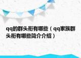 qq的群头衔有哪些（qq家族群头衔有哪些简介介绍）