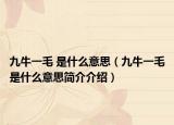 九牛一毛 是什么意思（九牛一毛是什么意思简介介绍）