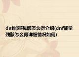dnf能量残骸怎么得介绍(dnf能量残骸怎么得详细情况如何)