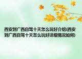 西安到广西自驾十天怎么玩好介绍(西安到广西自驾十天怎么玩好详细情况如何)