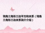 钝角三角形三边平方和关系（钝角三角形三边关系简介介绍）