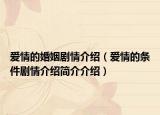 爱情的婚姻剧情介绍（爱情的条件剧情介绍简介介绍）