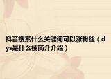抖音搜索什么关键词可以涨粉丝（dys是什么梗简介介绍）