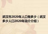 武汉市2020年人口有多少（武汉多少人口2020年简介介绍）