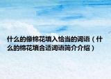什么的像棉花填入恰当的词语（什么的棉花填合适词语简介介绍）