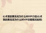 心术里的黄菁菁为什么叫VIP介绍(心术里的黄菁菁为什么叫VIP详细情况如何)