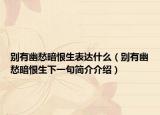 别有幽愁暗恨生表达什么（别有幽愁暗恨生下一句简介介绍）