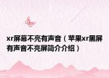 xr屏幕不亮有声音（苹果xr黑屏有声音不亮屏简介介绍）