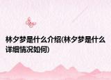 林夕梦是什么介绍(林夕梦是什么详细情况如何)
