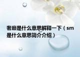 奢靡是什么意思解释一下（sm是什么意思简介介绍）