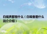白噪声都有什么（白噪音是什么简介介绍）