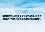 新还珠格格永琪和新荣结婚是第几集介绍(新还珠格格永琪和新荣结婚是第几集详细情况如何)